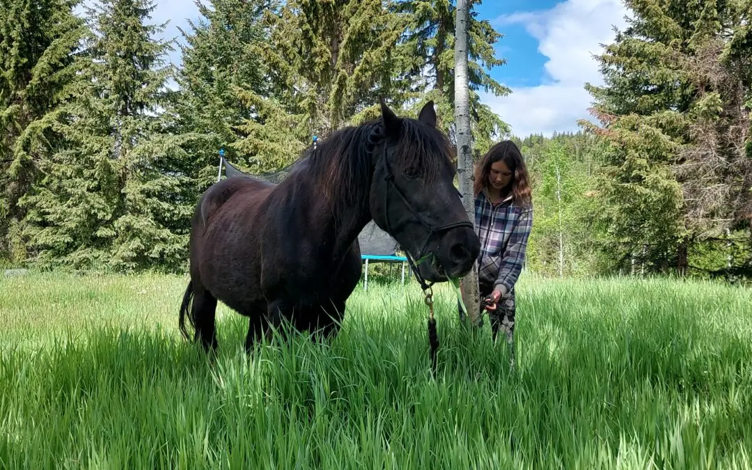A Hard Goodbye on the Homestead